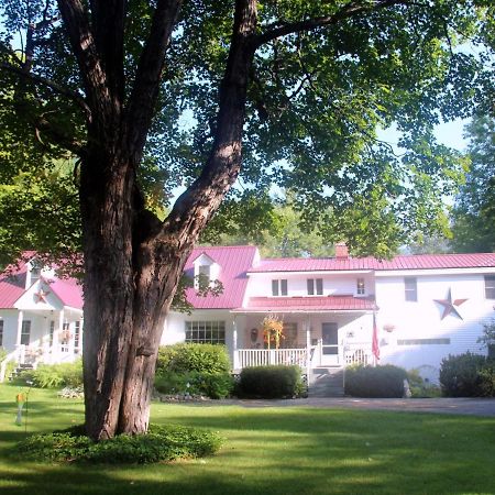 Buttonwood Inn On Mount Surprise Норт-Конвей Екстер'єр фото