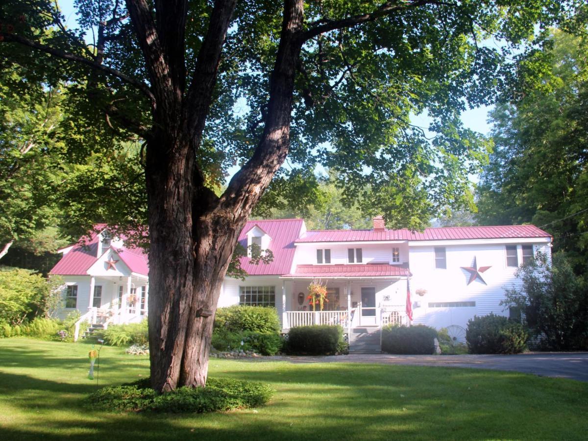 Buttonwood Inn On Mount Surprise Норт-Конвей Екстер'єр фото