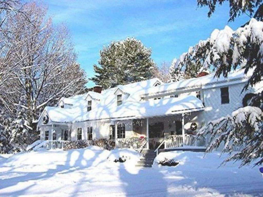 Buttonwood Inn On Mount Surprise Норт-Конвей Екстер'єр фото